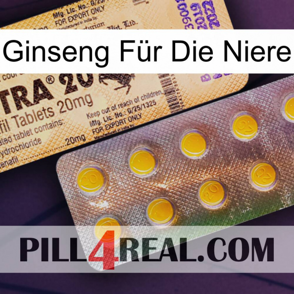 Ginseng Für Die Niere new06.jpg